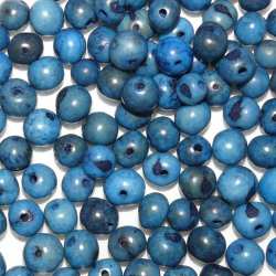 Perles Açaï Bleu marine